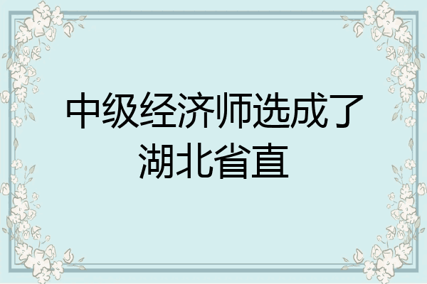 中级经济师选成了湖北省直