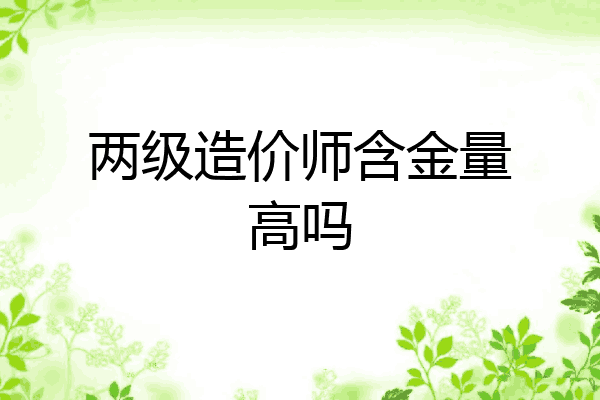 两级造价师含金量高吗