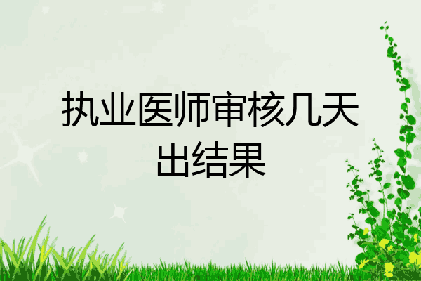 执业医师审核几天出结果