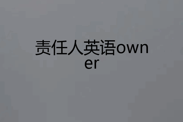 责任人英语owner