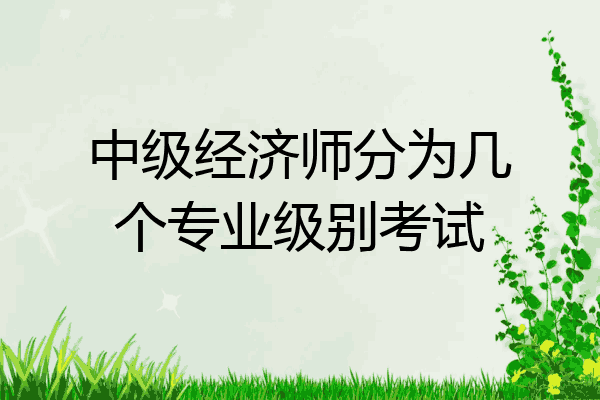 中级经济师分为几个专业级别考试