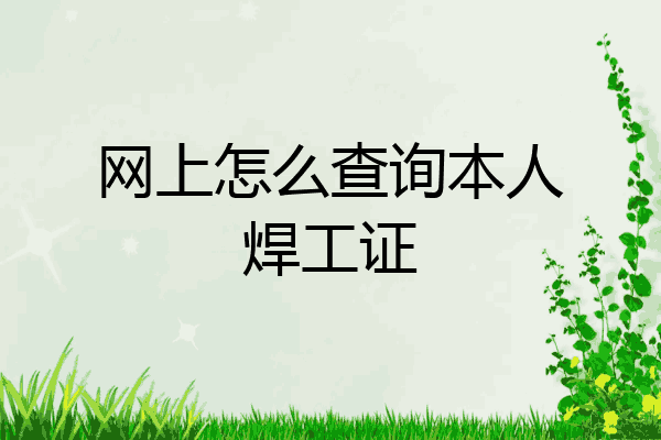 网上怎么查询本人焊工证