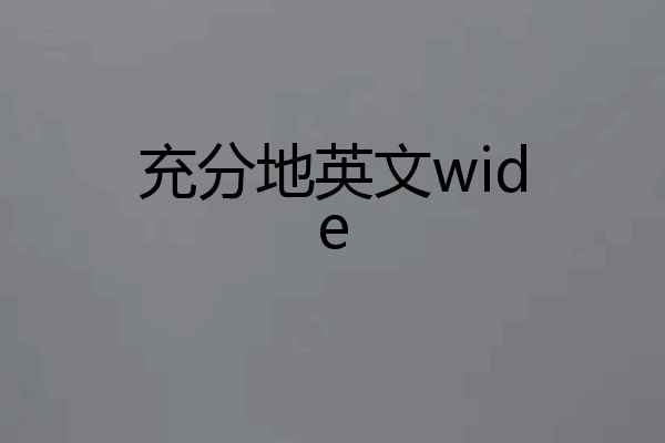 充分地英文wide
