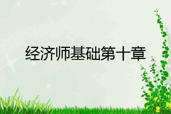 经济师基础第十章