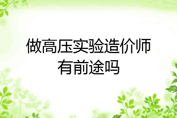 做高压实验造价师有前途吗