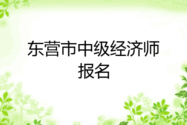 东营市中级经济师报名