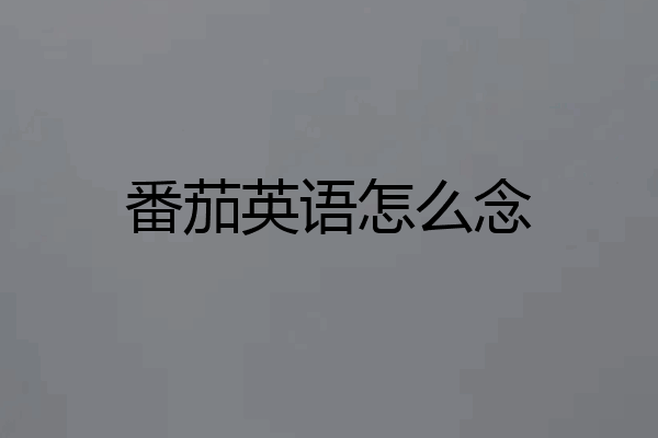 番茄英语怎么念