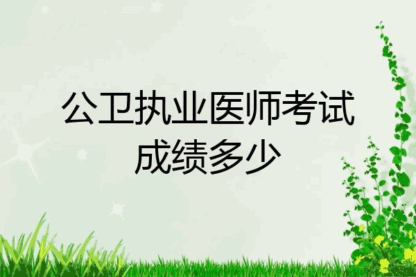 公卫执业医师考试成绩多少
