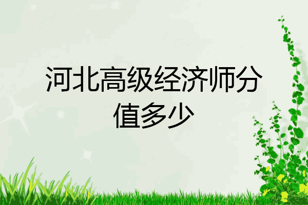 河北高级经济师分值多少