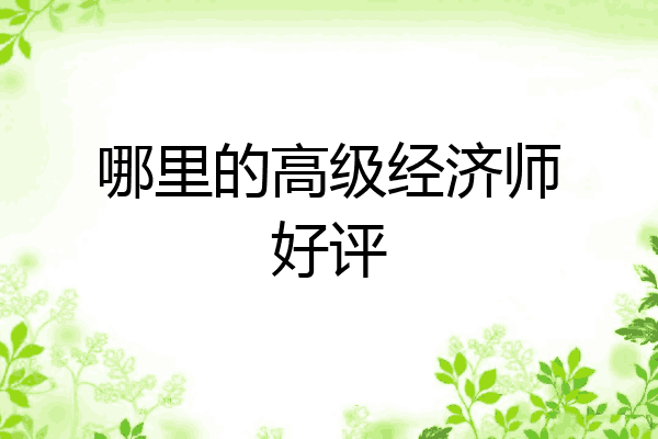 哪里的高级经济师好评