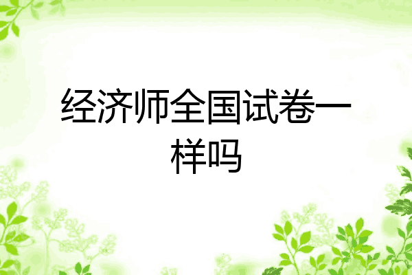 经济师全国试卷一样吗