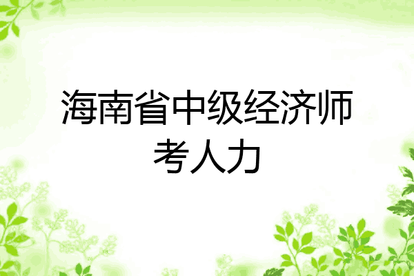海南省中级经济师考人力