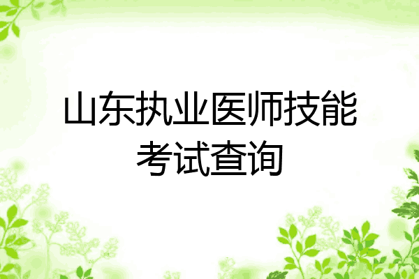 山东执业医师技能考试查询