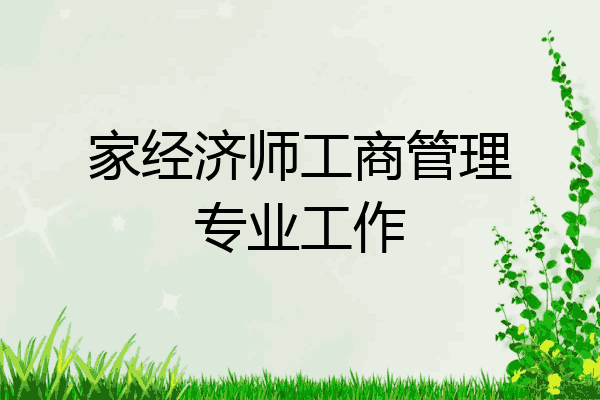 家经济师工商管理专业工作