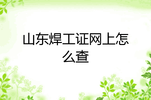山东焊工证网上怎么查