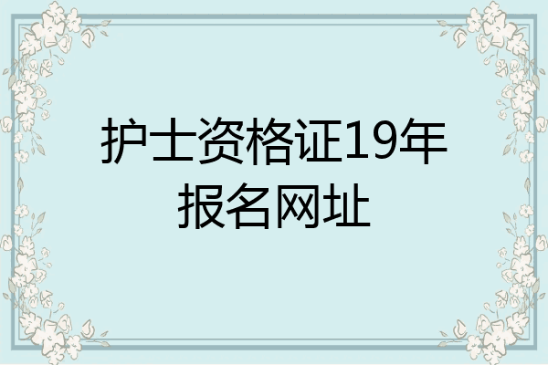 护士资格证19年报名网址