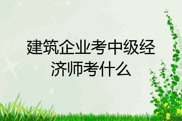 建筑企业考中级经济师考什么