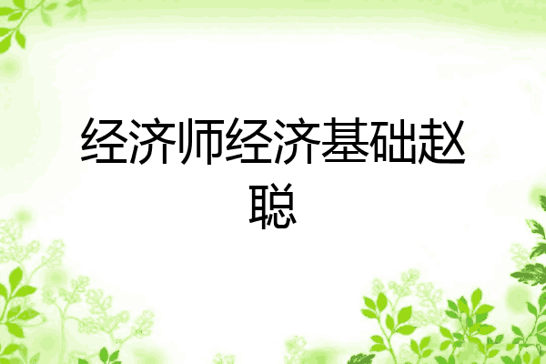 经济师经济基础赵聪
