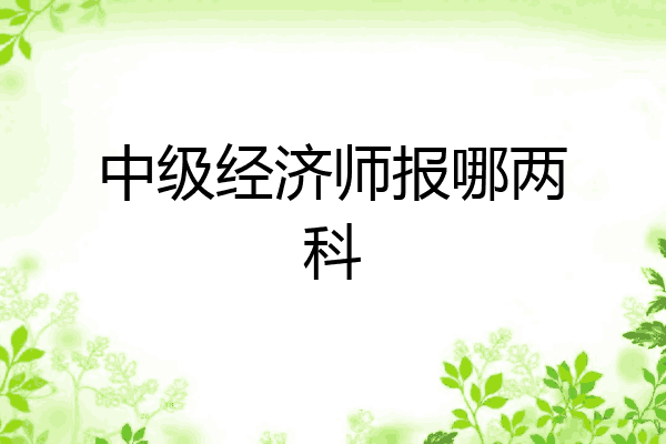 中级经济师报哪两科