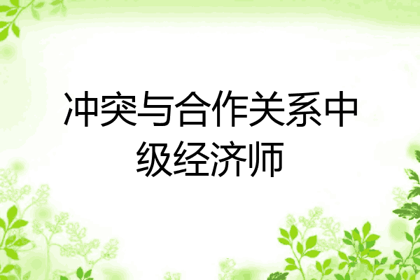 冲突与合作关系中级经济师