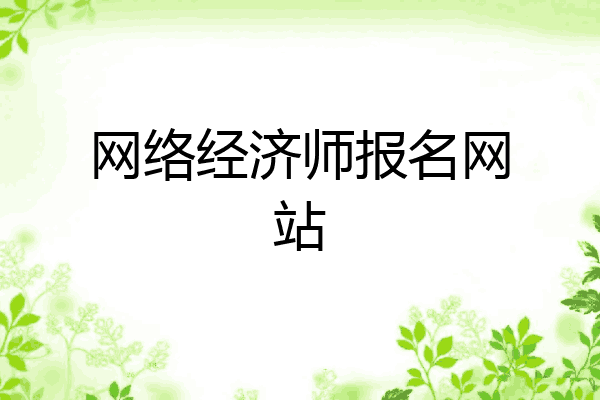 网络经济师报名网站