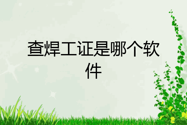查焊工证是哪个软件