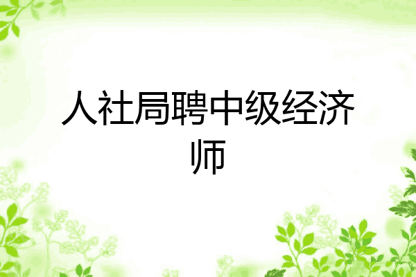 人社局聘中级经济师