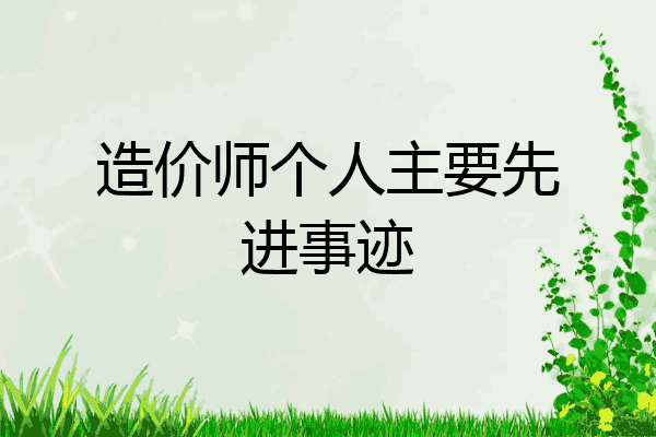 造价师个人主要先进事迹
