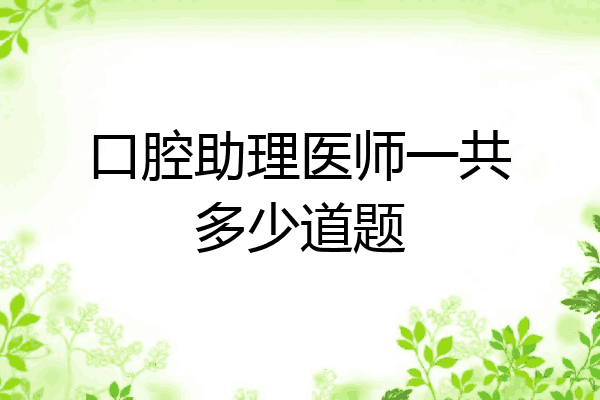 口腔助理医师一共多少道题