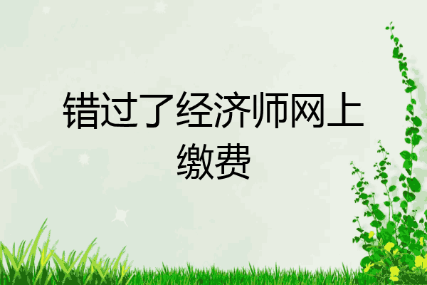 错过了经济师网上缴费