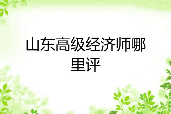 山东高级经济师哪里评