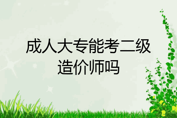 成人大专能考二级造价师吗