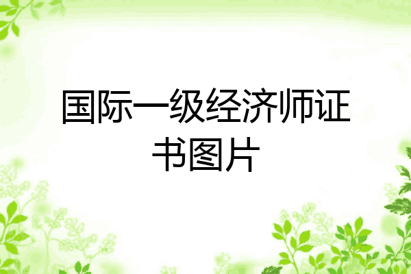 国际一级经济师证书图片