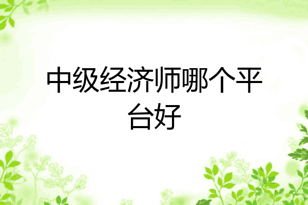 中级经济师哪个平台好