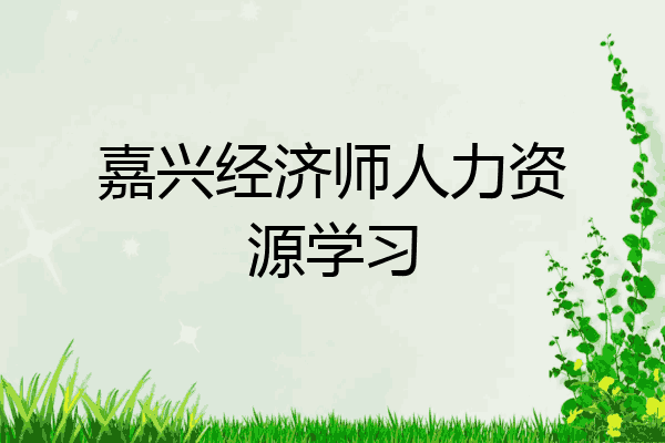 嘉兴经济师人力资源学习