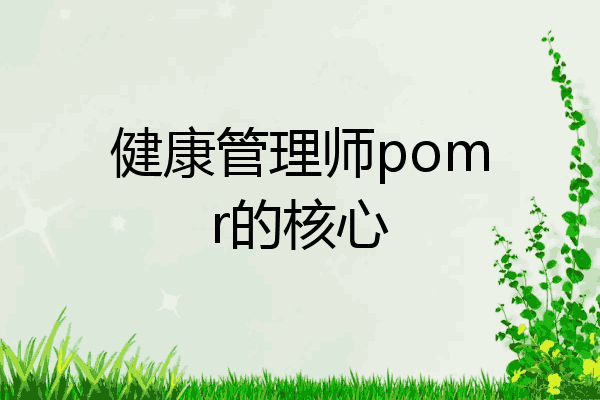 健康管理师pomr的核心