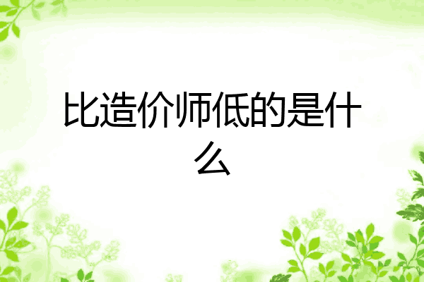 比造价师低的是什么