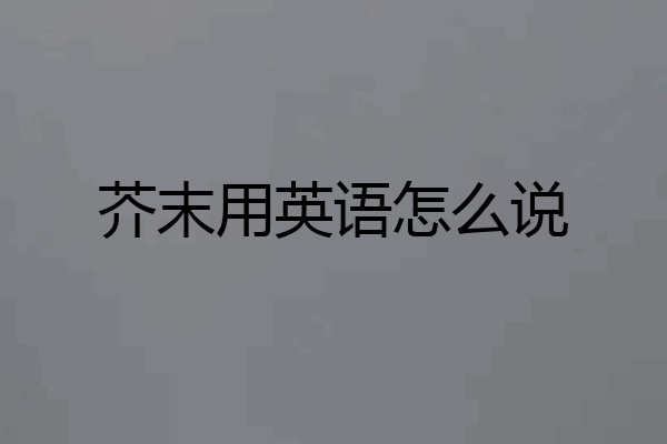 芥末用英语怎么说