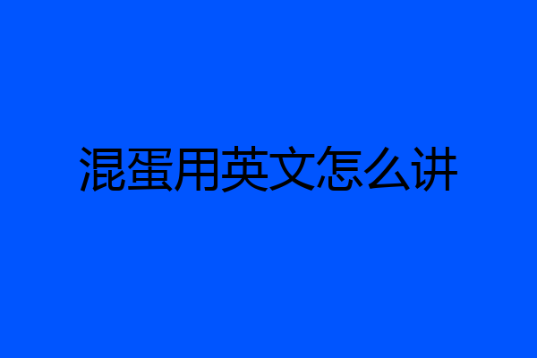 混蛋用英文怎么讲