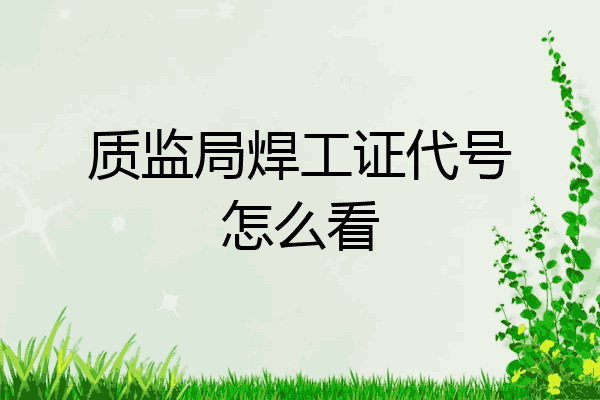 质监局焊工证代号怎么看