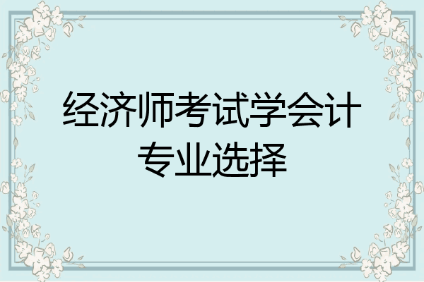 经济师考试学会计专业选择