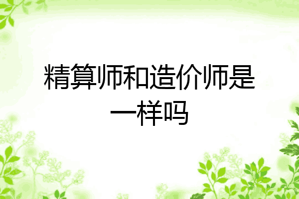 精算师和造价师是一样吗