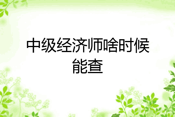 中级经济师啥时候能查
