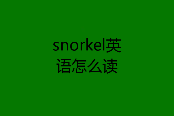 snorkel英语怎么读