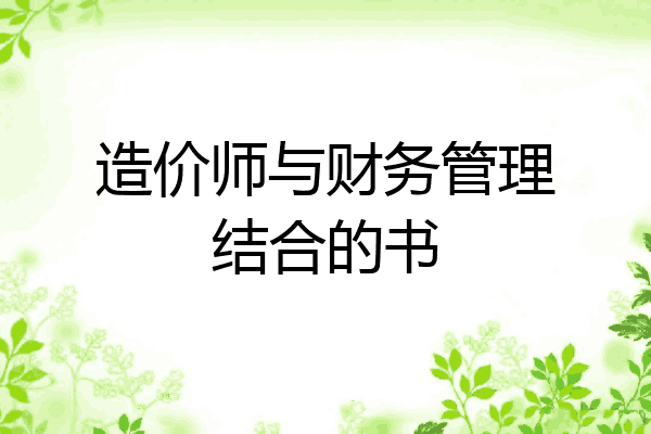造价师与财务管理结合的书