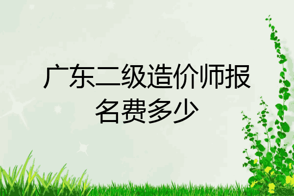 广东二级造价师报名费多少