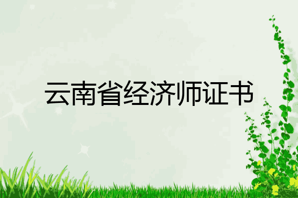 云南省经济师证书