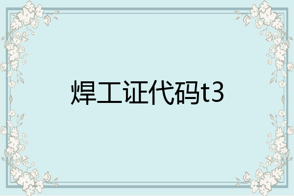 焊工证代码t3