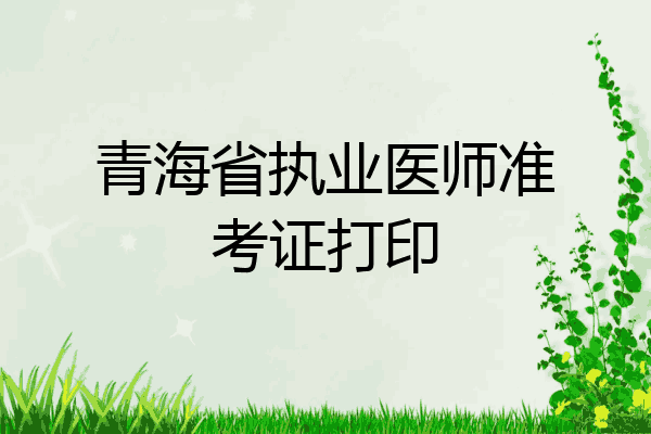 青海省执业医师准考证打印