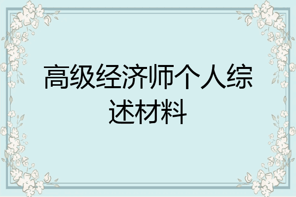 高级经济师个人综述材料